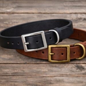 Dog collars