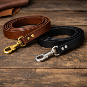 Dog Leashes